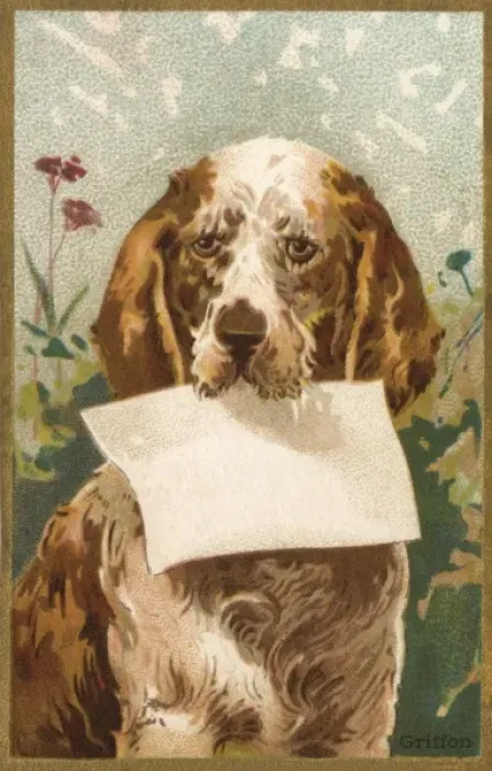Framed Print : Dog and Blank - 1 Framed Print : Dog and Blank - 1