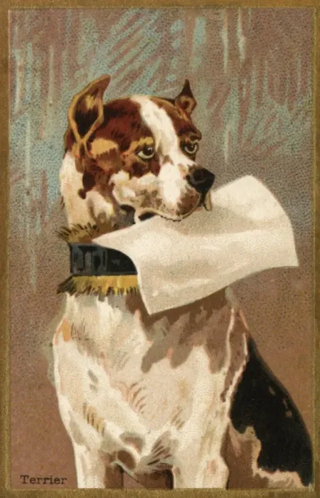Framed Print : Dog and Blank - 2
