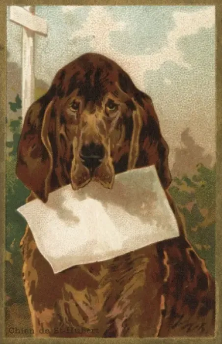 Framed Print : Dog and Blank - 3 Framed Print : Dog and Blank - 3