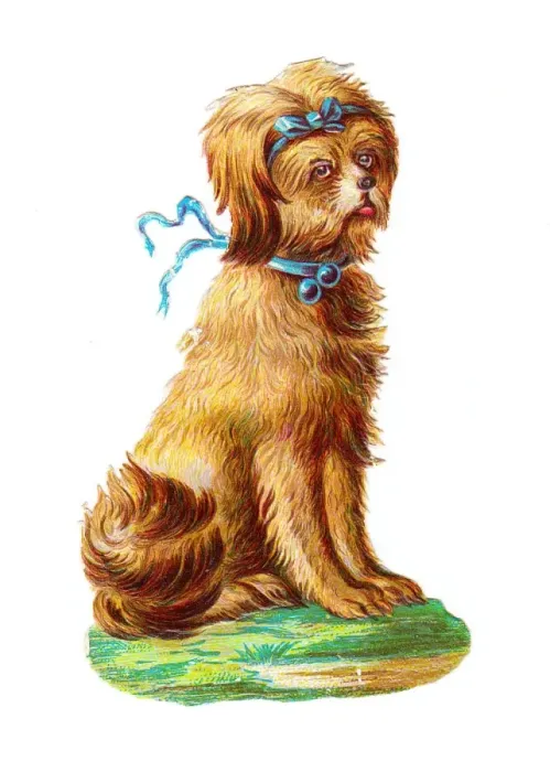 Framed Print : Dog with blue ribbons on a Victorian scrap Framed Print : Dog with blue ribbons on a Victorian scrap