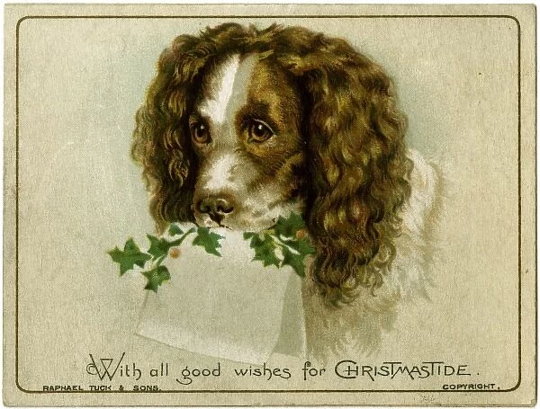 Dog with Card and Holly