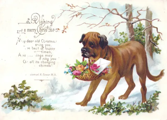 Framed Print : Dog carrying basket of flowers on a Christmas card Framed Print : Dog carrying basket of flowers on a Christmas card