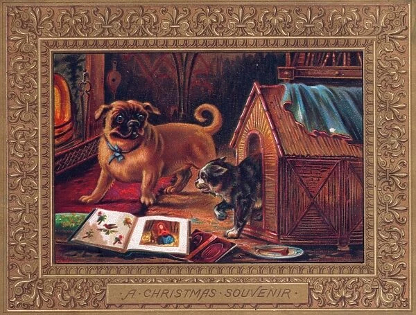 Dog and cat on a Christmas card