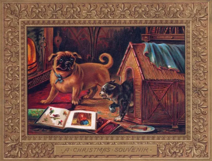Framed Print : Dog and cat on a Christmas card Framed Print : Dog and cat on a Christmas card