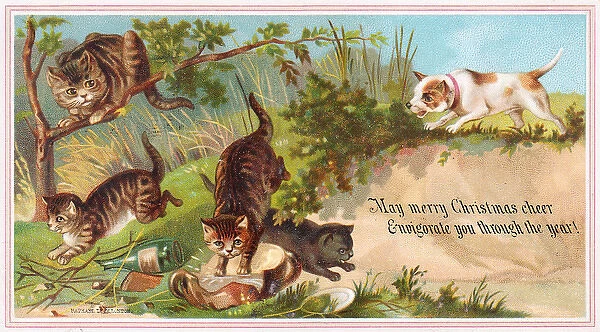 Dog and four cats on a Christmas card