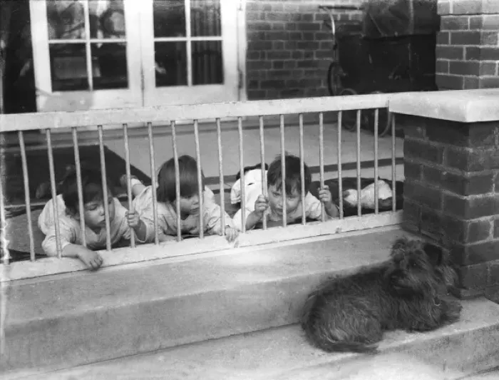 Framed Print : Dog in a Creche Framed Print : Dog in a Creche