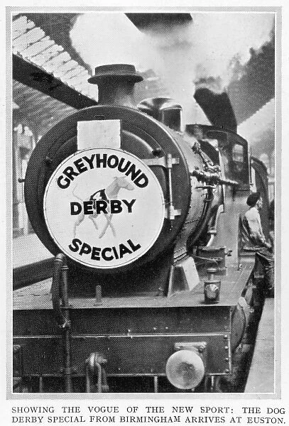 The Dog Derby special train from Birmingham