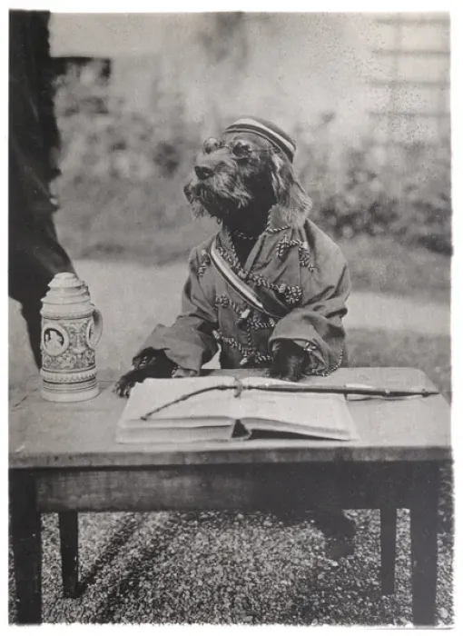Framed Print : Dog Dressed as Student Framed Print : Dog Dressed as Student