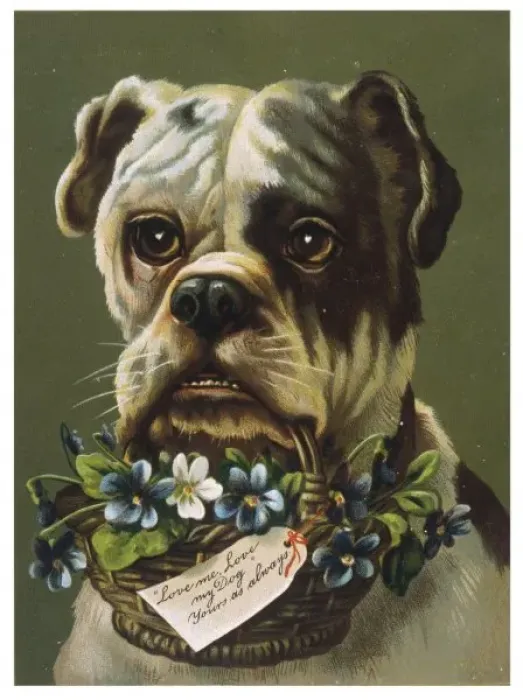 Framed Print : Dog and Flower Basket Framed Print : Dog and Flower Basket