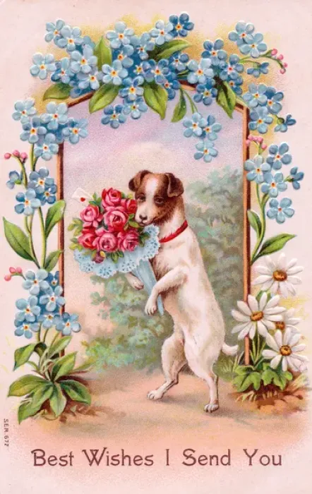 Framed Print : Dog with flowers on a greetings postcard Framed Print : Dog with flowers on a greetings postcard