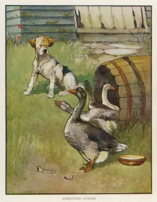 Framed Print : Dog and Geese Framed Print : Dog and Geese
