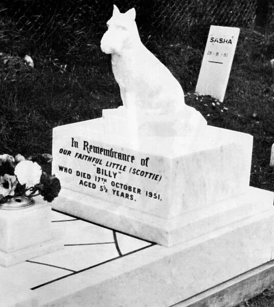 Dog gravestone