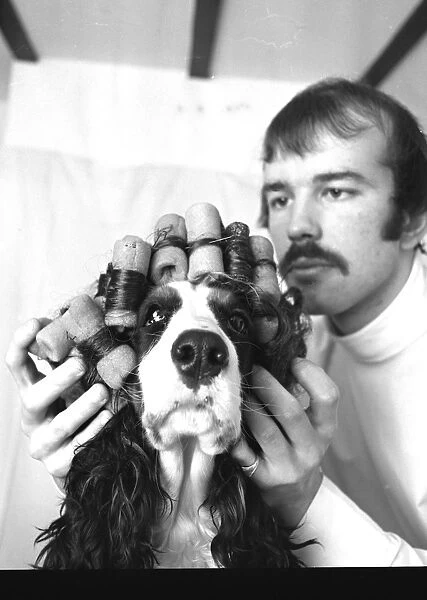 Dog hair stylist, London