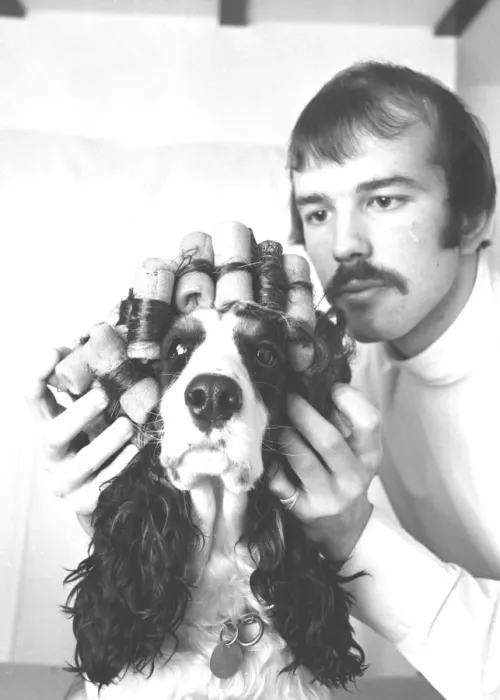 Framed Print : Dog hair stylist, London