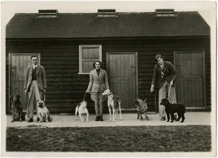 Framed Print : Three dog handlers with six dogs in front of stables Framed Print : Three dog handlers with six dogs in front of stables