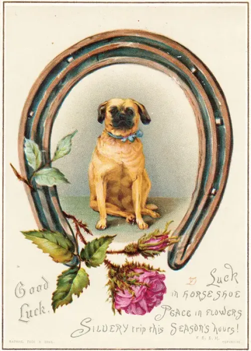 Framed Print : Dog with horseshoe and rose on a Good Luck card Framed Print : Dog with horseshoe and rose on a Good Luck card