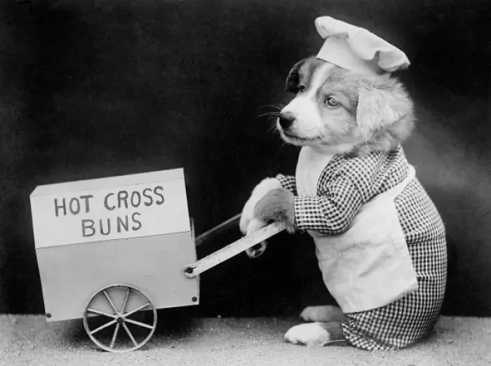 Framed Print : Dog Hot Cross Bun Seller Framed Print : Dog Hot Cross Bun Seller