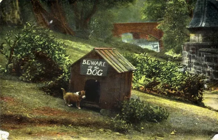 Framed Print : Dog & Kennel Framed Print : Dog & Kennel