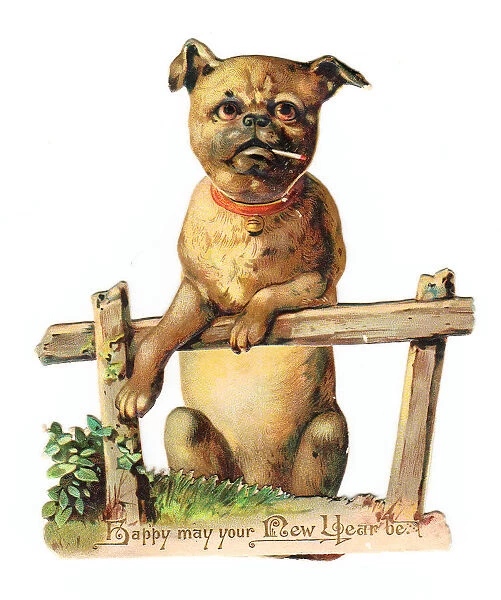 Dog leaning on a fence on a cutout New Year card
