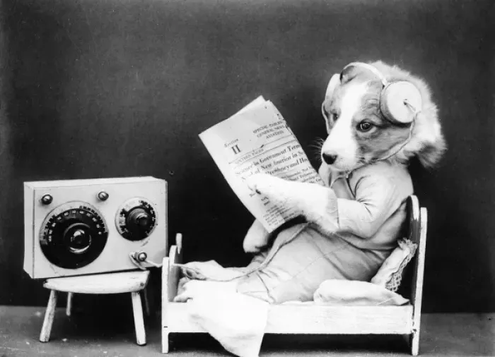 Framed Print : Dog Listening to Radio Framed Print : Dog Listening to Radio