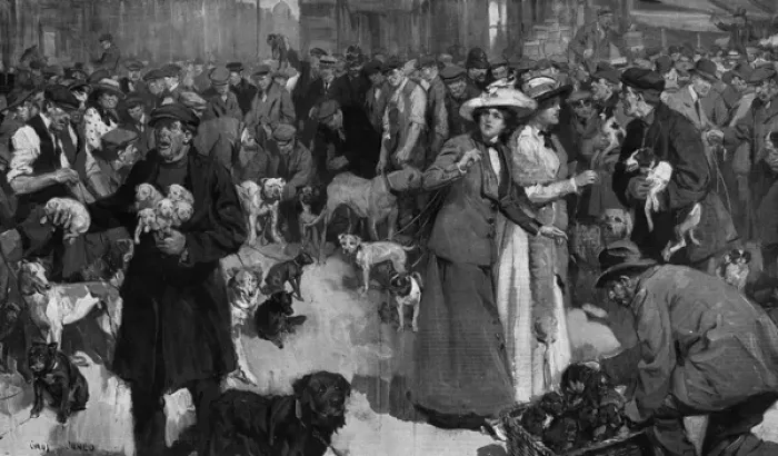 Framed Print : Dog Market, London Framed Print : Dog Market, London