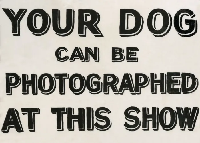 Framed Print : Your dog can be photographed sign Framed Print : Your dog can be photographed sign