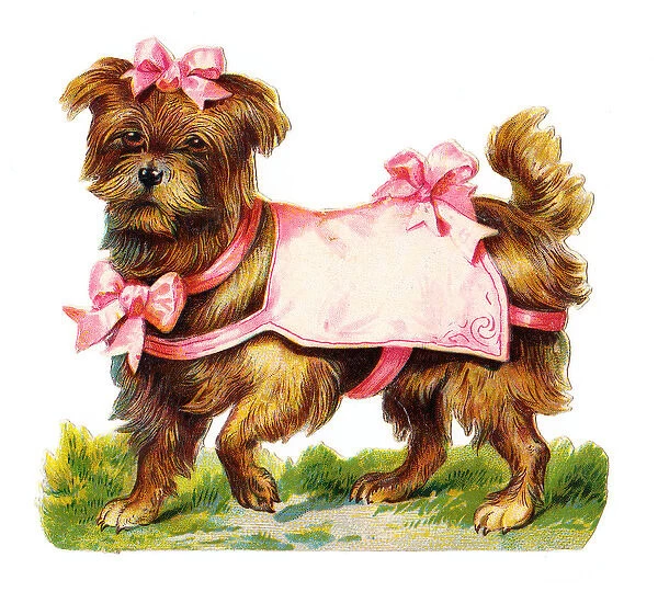 Dog with pink ribbons on a Victorian scrap