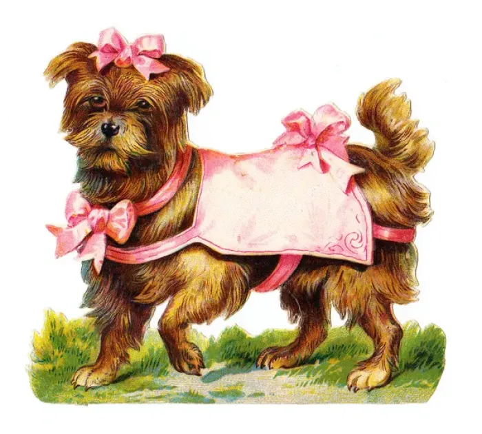 Framed Print : Dog with pink ribbons on a Victorian scrap Framed Print : Dog with pink ribbons on a Victorian scrap