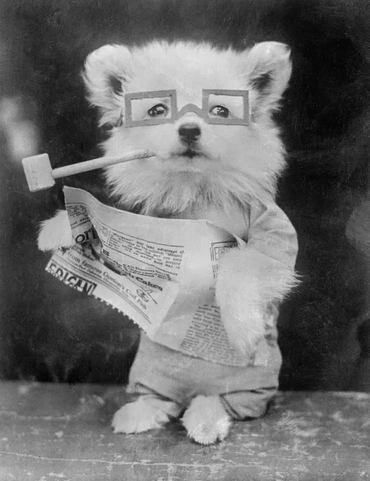 Framed Print : Dog, Pipe and Newspaper Framed Print : Dog, Pipe and Newspaper
