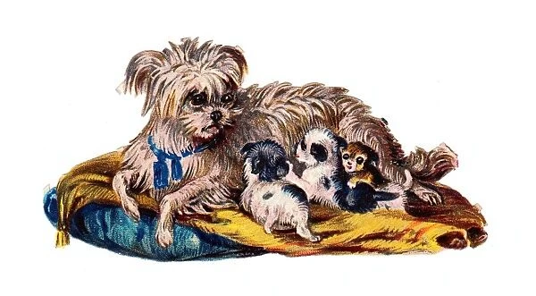 Dog with puppies on a Victorian scrap
