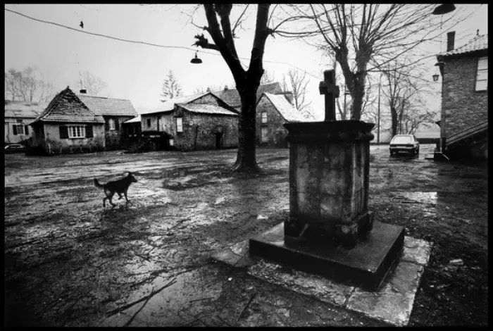 Framed Print : Dog in rainy village square Framed Print : Dog in rainy village square