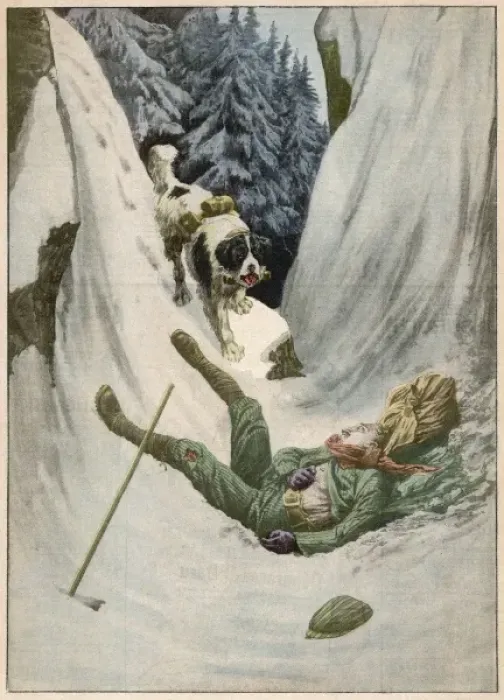 Framed Print : Dog Rescues Climber Framed Print : Dog Rescues Climber