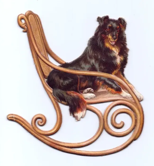 Framed Print : Dog on a rocking chair on a cutout greetings card Framed Print : Dog on a rocking chair on a cutout greetings card