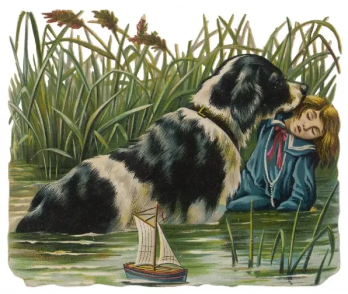Framed Print : Dog Saves Boy Framed Print : Dog Saves Boy