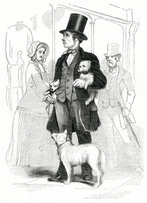 Framed Print : DOG-SELLER 1852 Framed Print : DOG-SELLER 1852