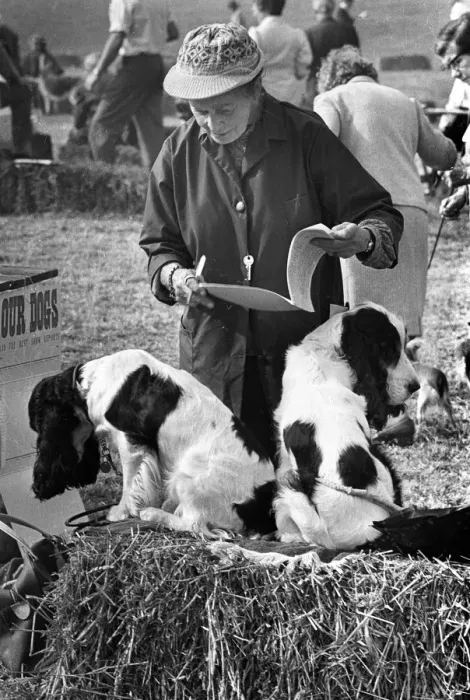 Framed Print : Dog Show, Hereford Framed Print : Dog Show, Hereford