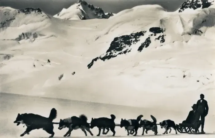Framed Print : Dog sled on Aletsch Glacier, Jungfrau, Switzerland Framed Print : Dog sled on Aletsch Glacier, Jungfrau, Switzerland