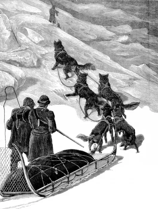 Framed Print : A Dog Sledge of the British Arctic Expedition, 1875-1876 Framed Print : A Dog Sledge of the British Arctic Expedition, 1875-1876