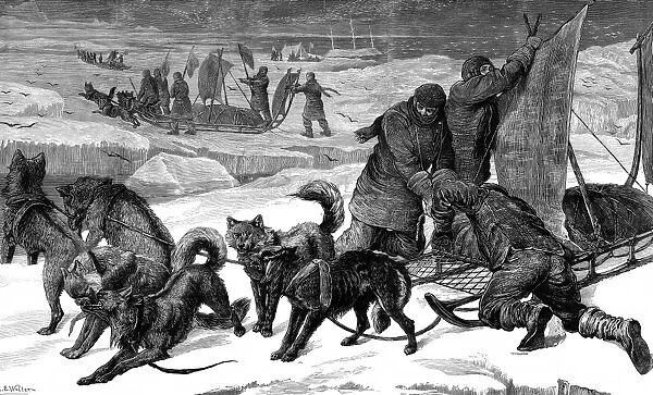Dog Sledges ready for use in the Arctic, 1875