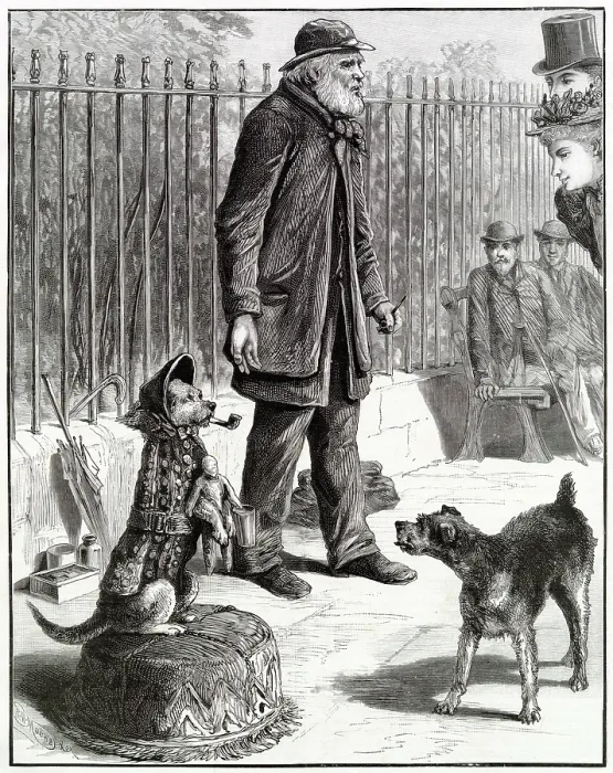 Framed Print : A dog standing on its hind legs dressed up as a human, begging for money from amused passers-by. Date: 1895 Framed Print : A dog standing on its hind legs dressed up as a human, begging for money from amused passers-by. Date: 1895