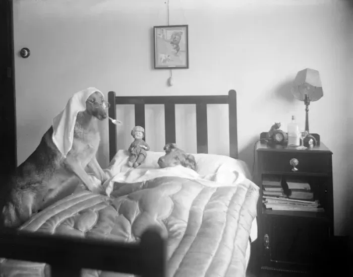 Framed Print : Dog-Tor and Patient Framed Print : Dog-Tor and Patient