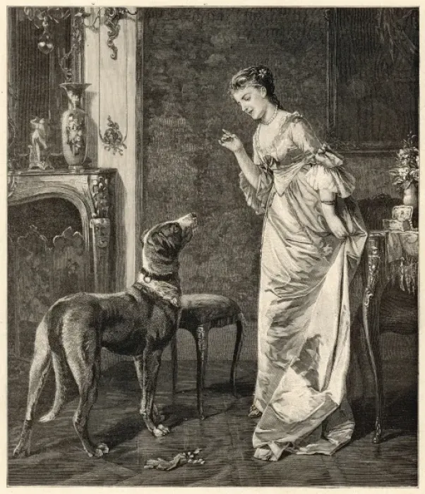 Framed Print : Dog Training Framed Print : Dog Training