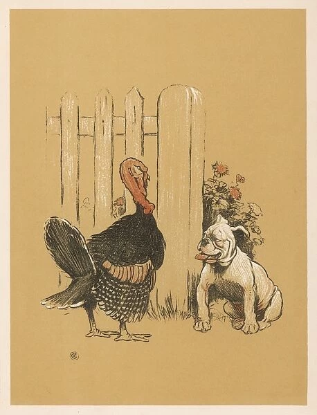 Dog and Turkey 1905