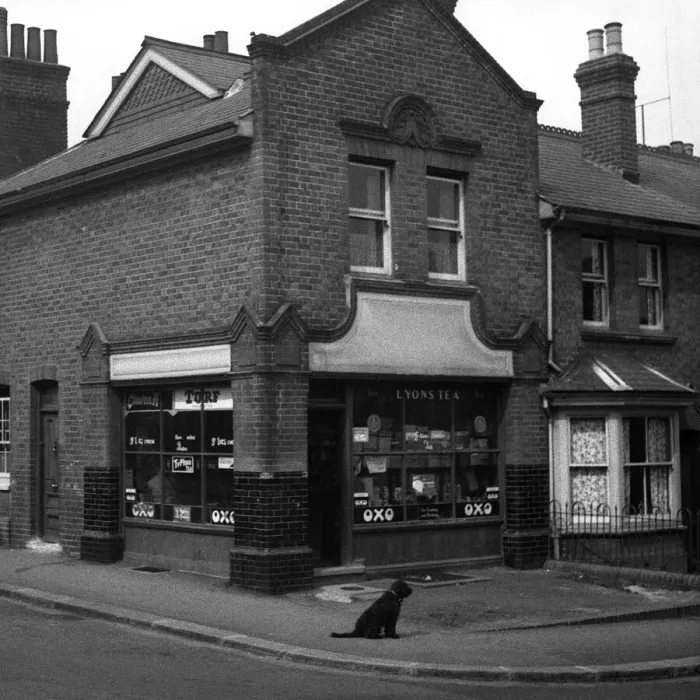 Framed Print : Dog waits for owner outside corner shop, London Framed Print : Dog waits for owner outside corner shop, London