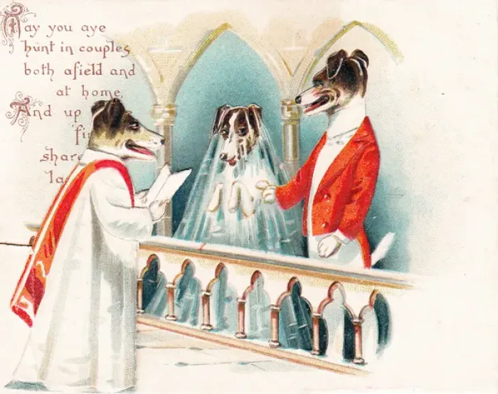 Framed Print : Dog wedding in a church Framed Print : Dog wedding in a church
