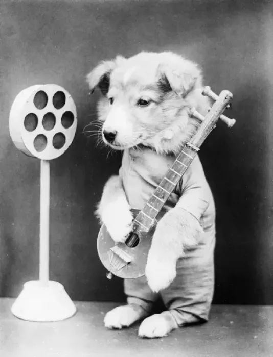 Framed Print : Doggy Rock Star Framed Print : Doggy Rock Star