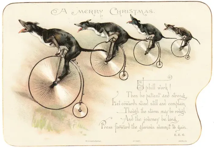 Framed Print : Four dogs on bicycles on a Christmas card Framed Print : Four dogs on bicycles on a Christmas card