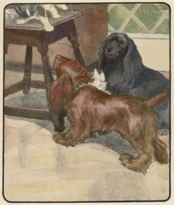 Framed Print : Two Dogs and a Cat Framed Print : Two Dogs and a Cat