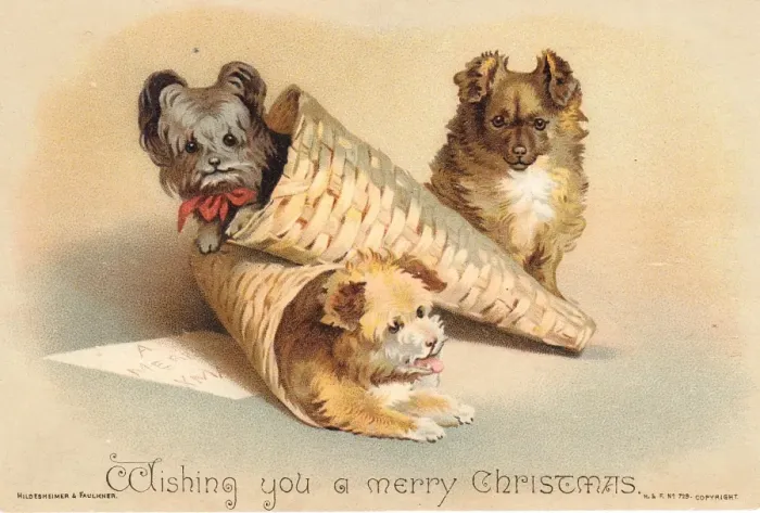 Framed Print : Three dogs on a Christmas card Framed Print : Three dogs on a Christmas card