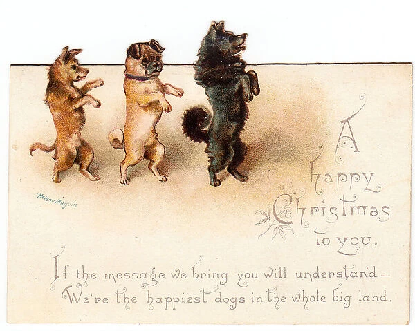 Three dogs on a Christmas card